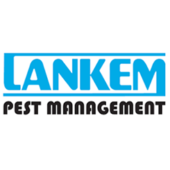 Lankem Pest Management – HNB card offer