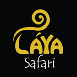 Laya Safari – HNB card offer